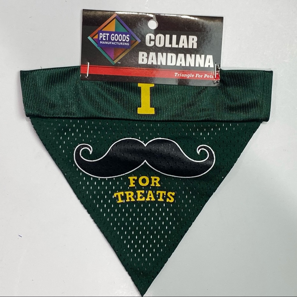 Dog Collar Bandana “I mustache for treats” in green - slips over dog collar New